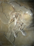Archaeopteryx lithographica (Berlín).