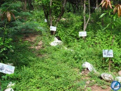 Bosques de paz, Ecoparque Los Besotes.