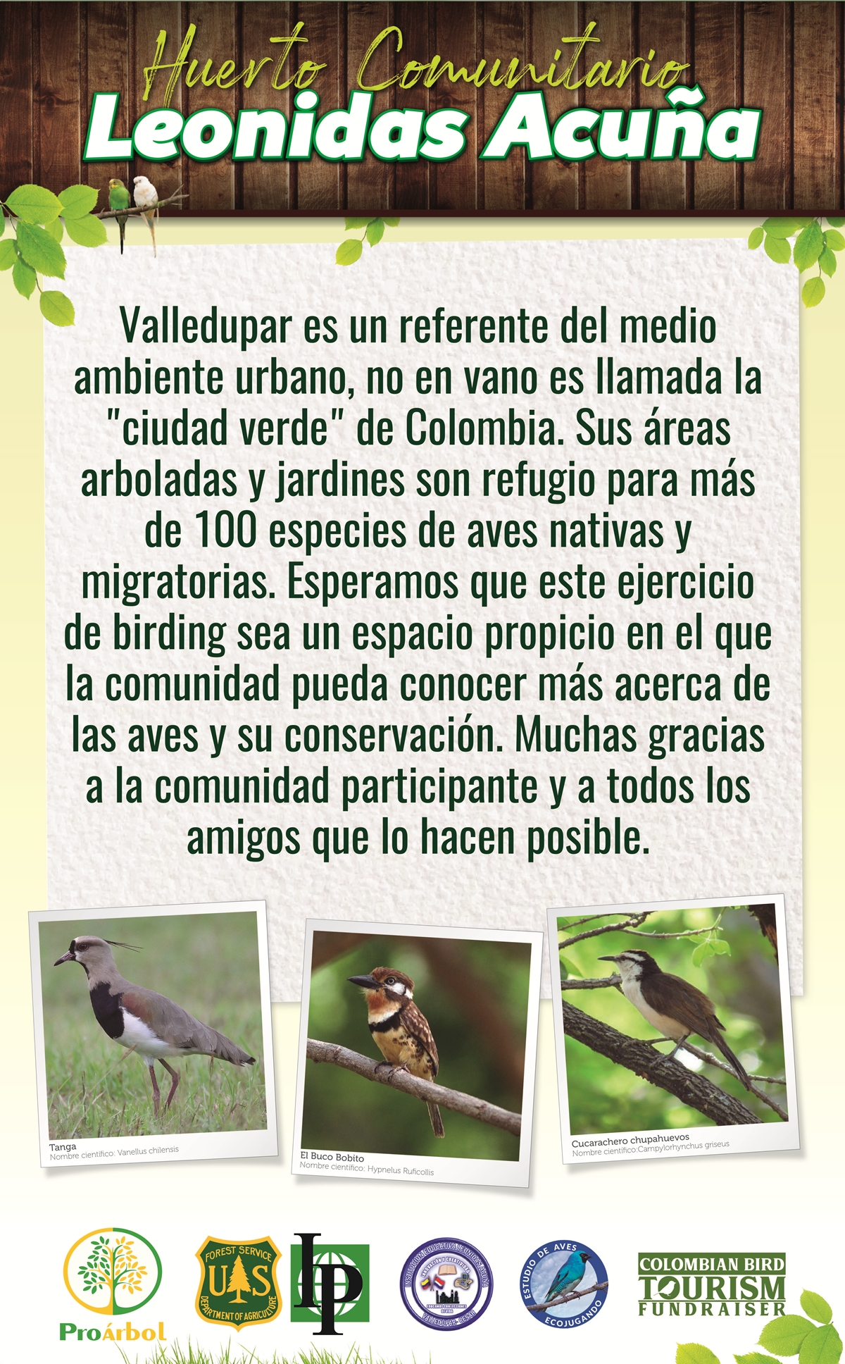 Informacion sobre avistamiento de aves en Valledupar